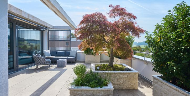 Terrassen + Aussenanlagen