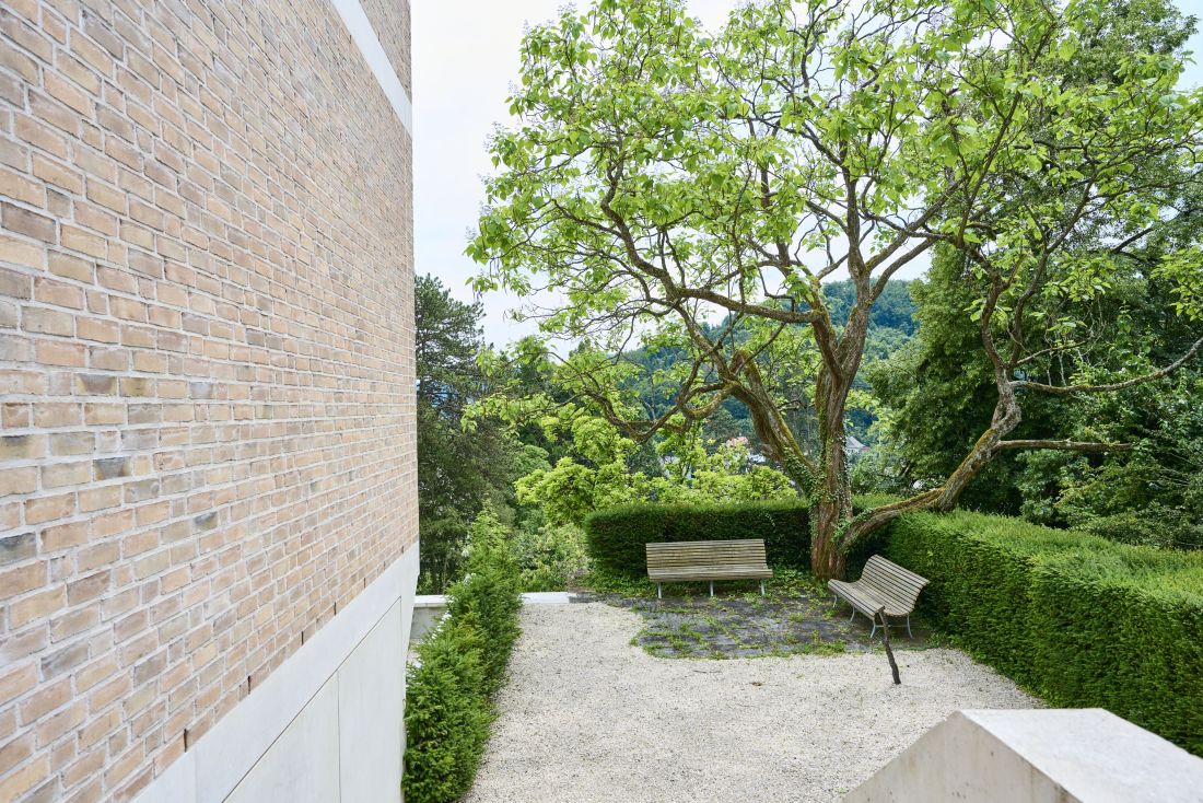 Gartenanlage mit Baum und 2 Sitzbänken aus Holz, umrandet mit einer grünen Hecke, Kiesweg und Hauswand