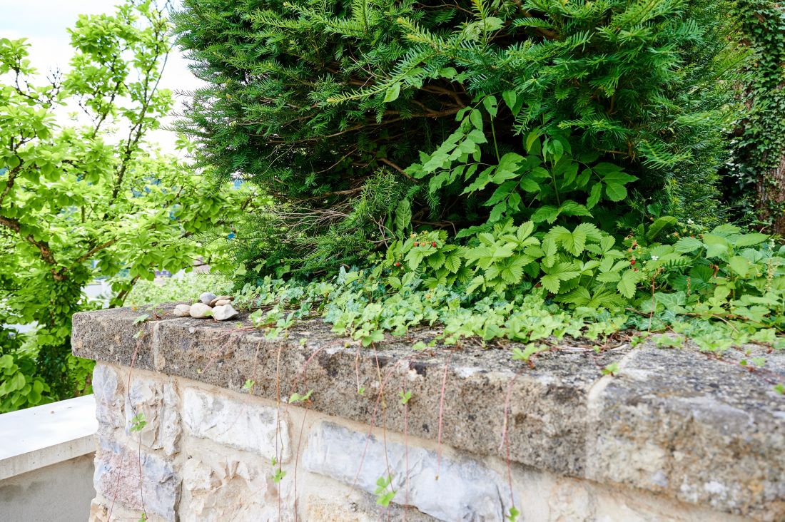 Naturstein in der Gartengestaltung, Mauer mit oberem Randabschluss zur Umrandung der Bepflanzung, Gartenbau Schoop