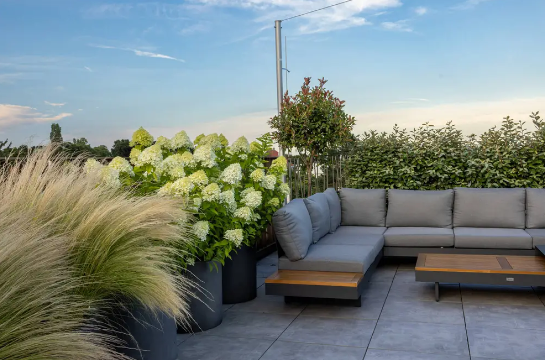 Moderne Terrasse mit grauer Lounge-Ecke und blühenden Pflanzen, Gartenbau Aargau von Schoop Gartenbau
