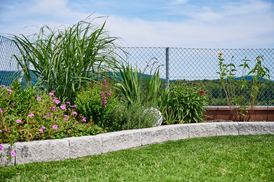Gartenbeet mit verschiedenen Blumen und Gräsern, gepflegter Rasen und Maschendrahtzaun, Gartenbau Aargau Schoop Gartenbau