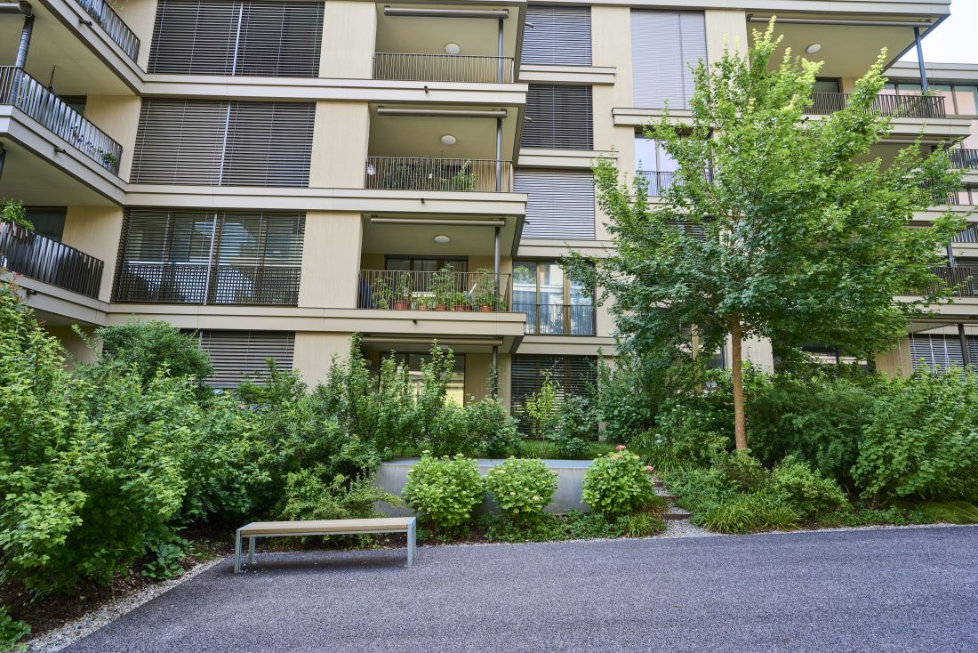 Mehrstöckiges beiges Haus, im Vordergrund Teerplatz umrandet von Gartenbeet mit Grünpflanzen wie Sträucher und einem Baum