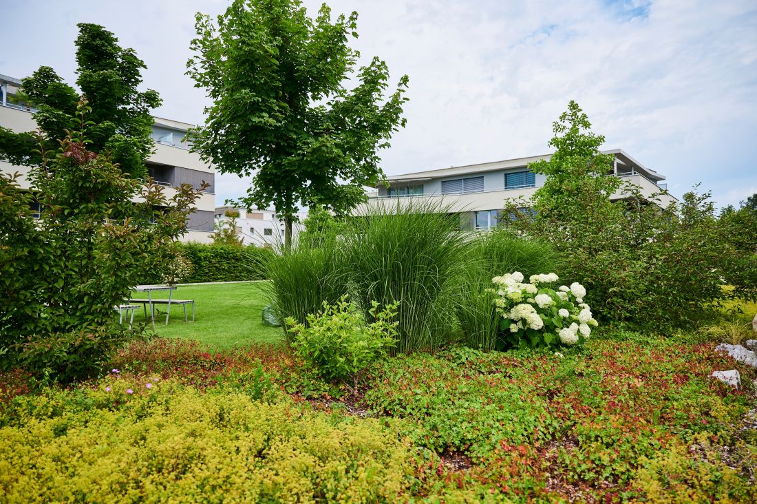 Grosse Gartenanlage mit verschiedenen Pflanzen, Bodendecker, Bäumen, Blumen und Ziergras in den Farben gelb, grün und orange, braun und rot