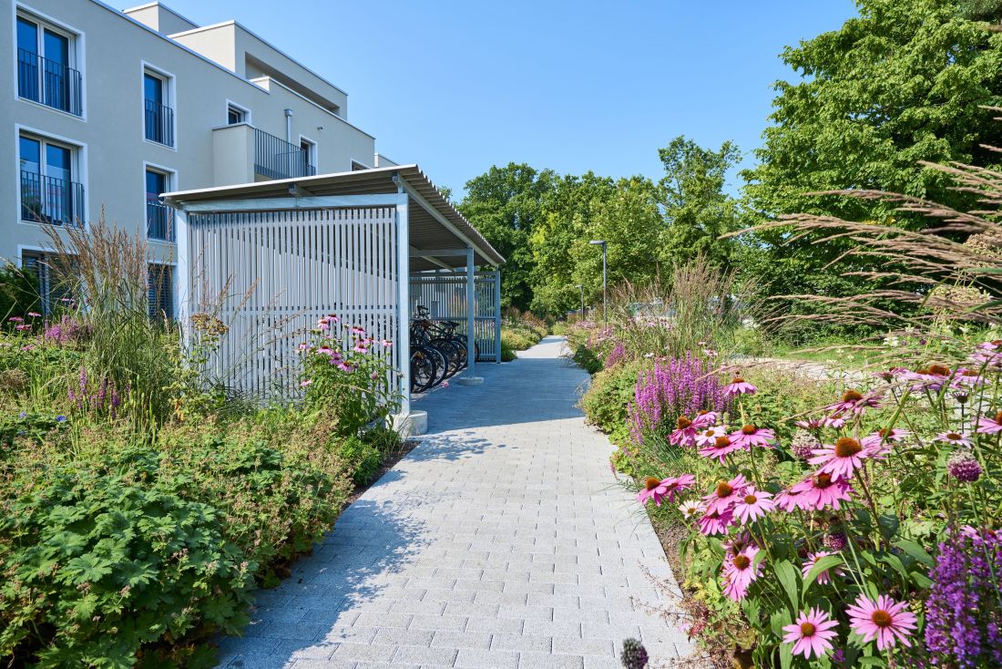 Gehweg in einer Siedlung, links und rechts Blumenbeete mit Pflanzen und blühendem Sonnenhut (Echinacea) in pink, überdeckter Velo-Unterstand und Bäume im Hintergrund, Gartenbau Aargau Schoop Gartenbau