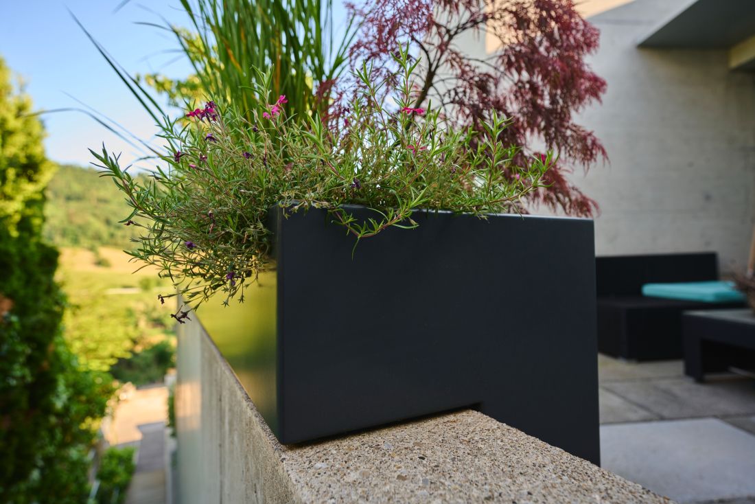 Moderne Terrassengestaltung mit Pflanzen in schwarzem Pflanzkasten, Gartenbau Aargau von Schoop Gartenbau