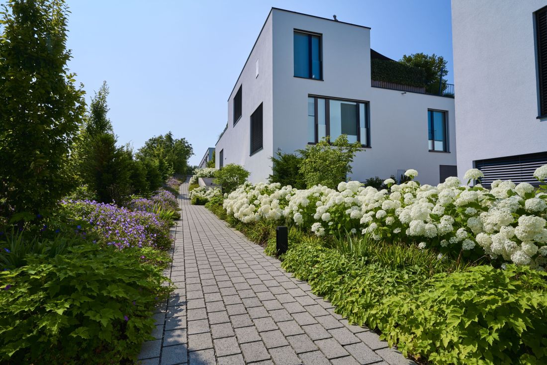 Moderne Gartenanlage mit gepflastertem Weg und blühenden Hortensien, Gartenbau Aargau von Schoop Gartenbau