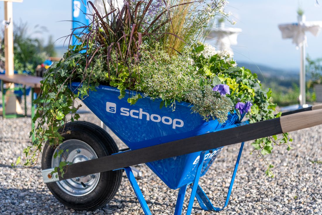 Blaue Schubkarre mit Schoop Gartenbau Logo und vielfältiger Bepflanzung im Aargau