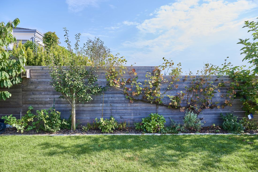 Moderner Sicht- und Lärmschutz mit Holzzaun und Bepflanzung im Garten, Gartenbau Aargau von Schoop Gartenbau