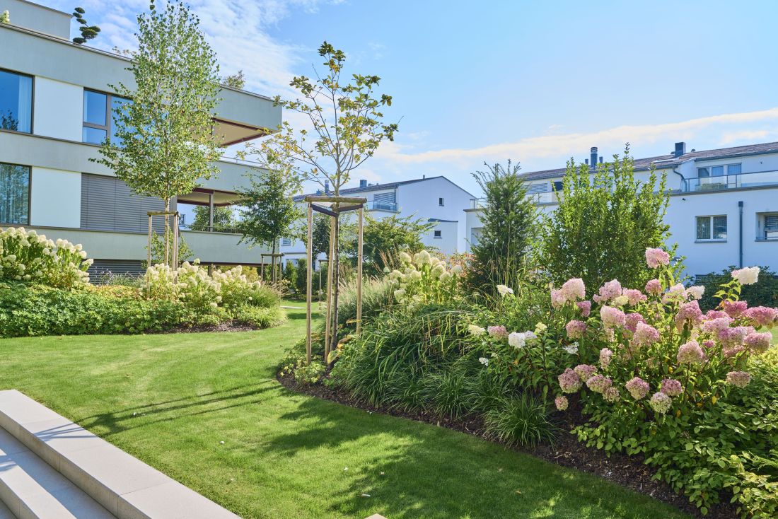 Professionelle Gartenbepflanzung mit Rasen, Blumen und Bäumen in modernem Wohnumfeld im Aargau von Schoop Gartenbau