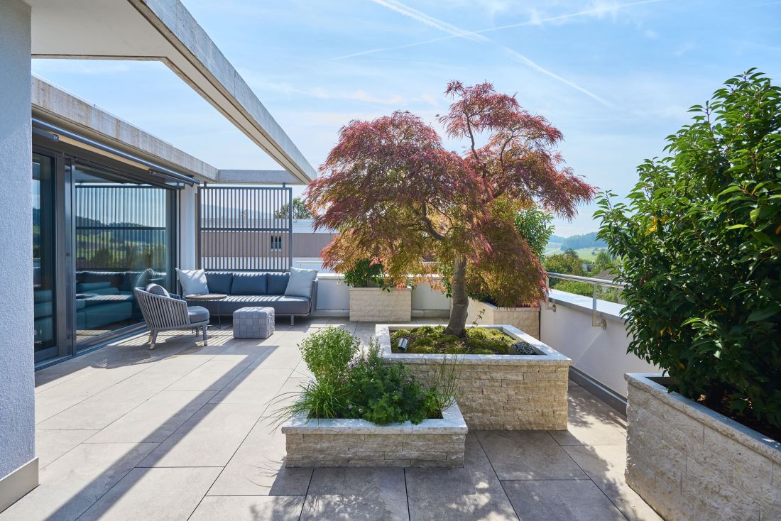 Moderne Terrassengestaltung mit Sitzbereich und japanischem Ahornbaum, Gartenbau Aargau von Schoop Gartenbau