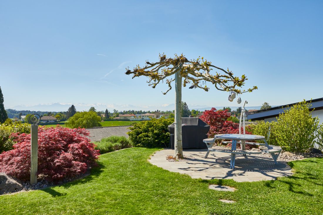 Moderner Garten mit einzigartigem Baum, Sitzplatz und gepflegtem Rasen – Gartenbau Aargau von Schoop Gartenbau