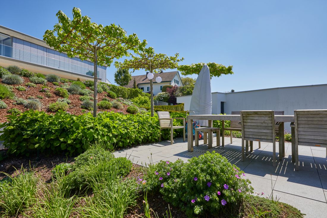 Moderner Gartenbau Aargau mit Terrasse, Holz-Gartenmöbeln, Bepflanzung und Pflege von Schoop Gartenbau