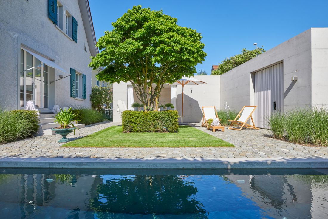 Gepflegter Baum mit verzweigtem Stamm, umgeben von Sträucher und Rasen, rundum Gehweg und 2 Liegestühle auf der rechten Seite, Pool mit Wasser im Vordergrund, blauer Himmel