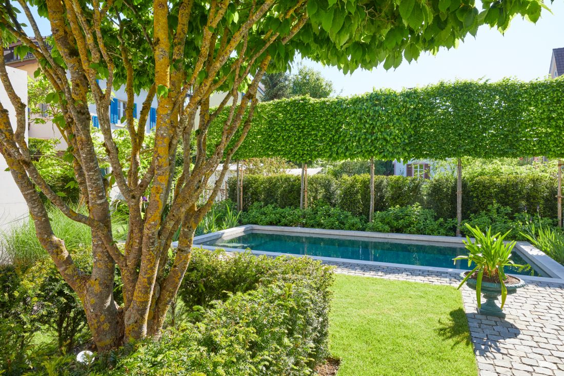 Moderner Garten mit Schwimmteich, gepflegtem Rasen und Hecken, Gartenbau Aargau von Schoop Gartenbau