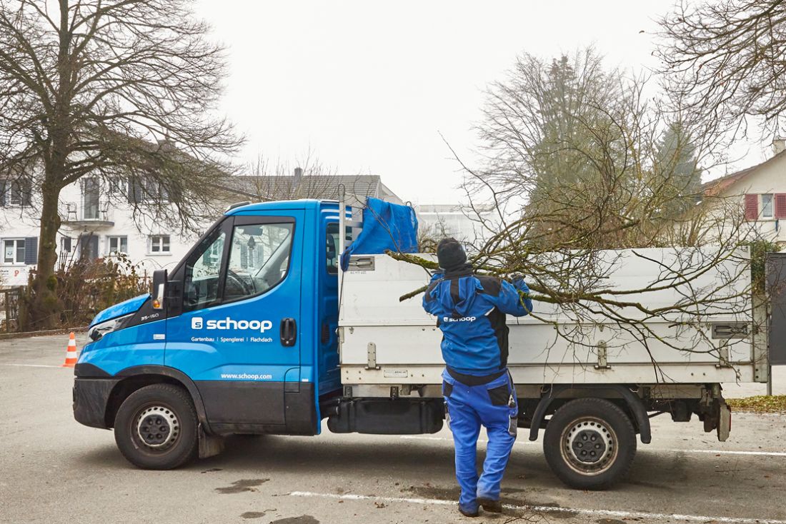 Mitarbeiter von Schoop Gartenbau beim Winterschnitt eines Baumes im Aargau mit blauem Firmenfahrzeug