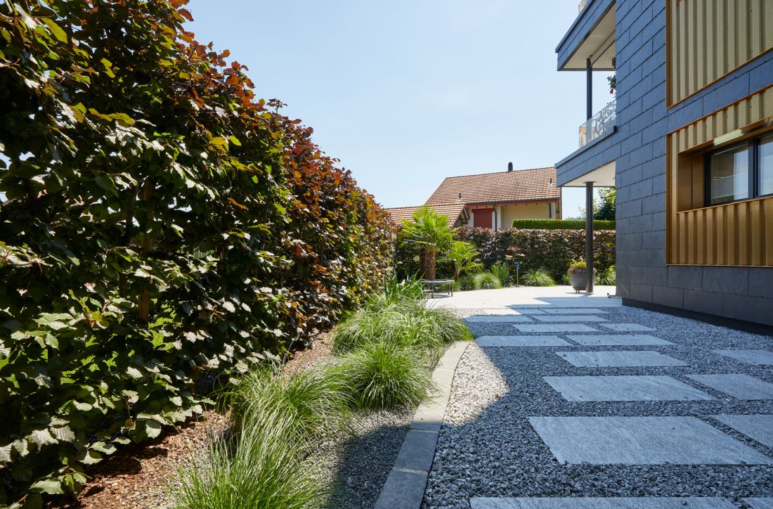 Moderner Gartenweg mit Kies, Hecke und Bepflanzung für Gartenpflege im Aargau von Schoop Gartenbau
