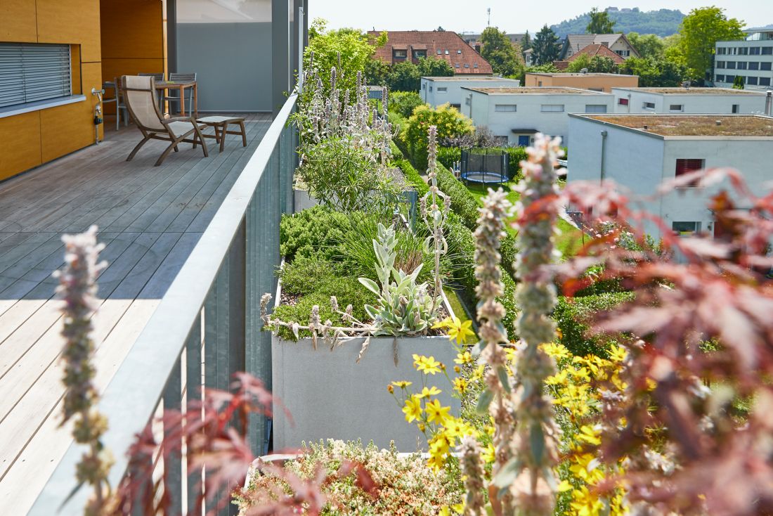 Moderne Terrasse mit Holzbelag, Sitzmöbeln und bepflanzten Blumenkästen – Gartenbau Aargau von Schoop Gartenbau