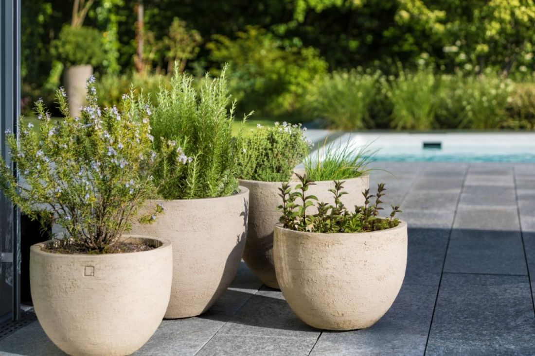 Moderne Terrassenbepflanzung mit grossen Pflanzkübeln und Kräutern, Gartenbau Aargau von Schoop Gartenbau