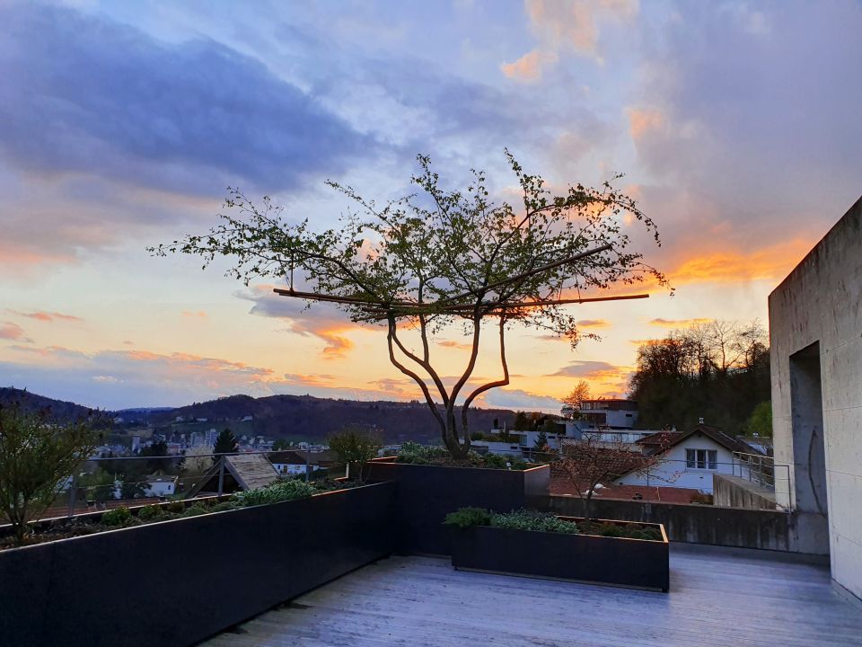 Terrasse mit Ambiente im Abendlicht, bepflanzte Tröge, moderner Plattenbelag, fantastische Aussicht und stimmungsvoller Himmel