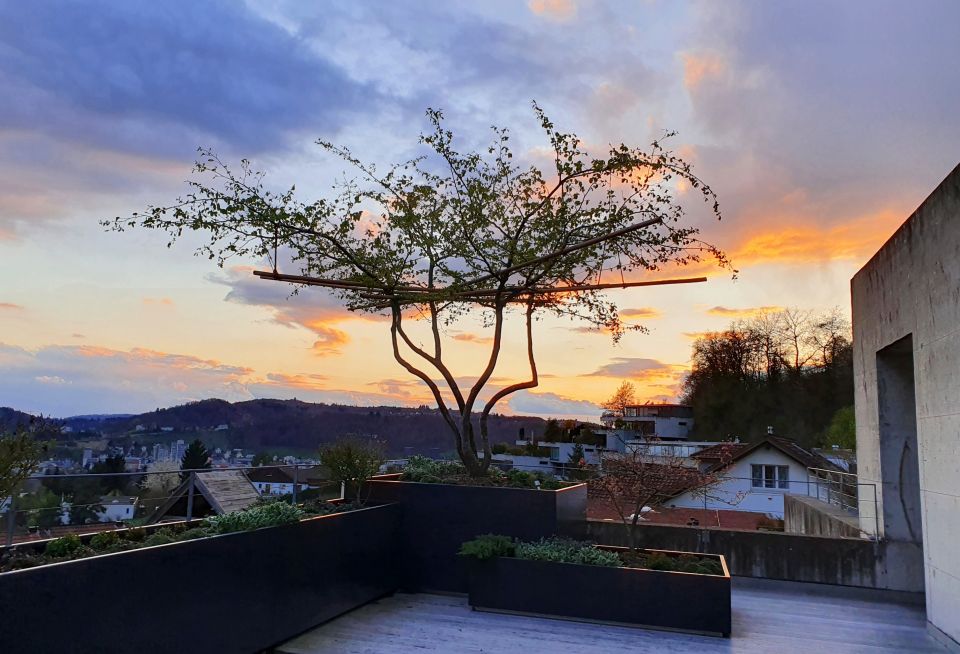Terrasse mit Ambiente im Abendlicht, bepflanzte Tröge, moderner Plattenbelag, fantastische Aussicht und stimmungsvoller Himmel