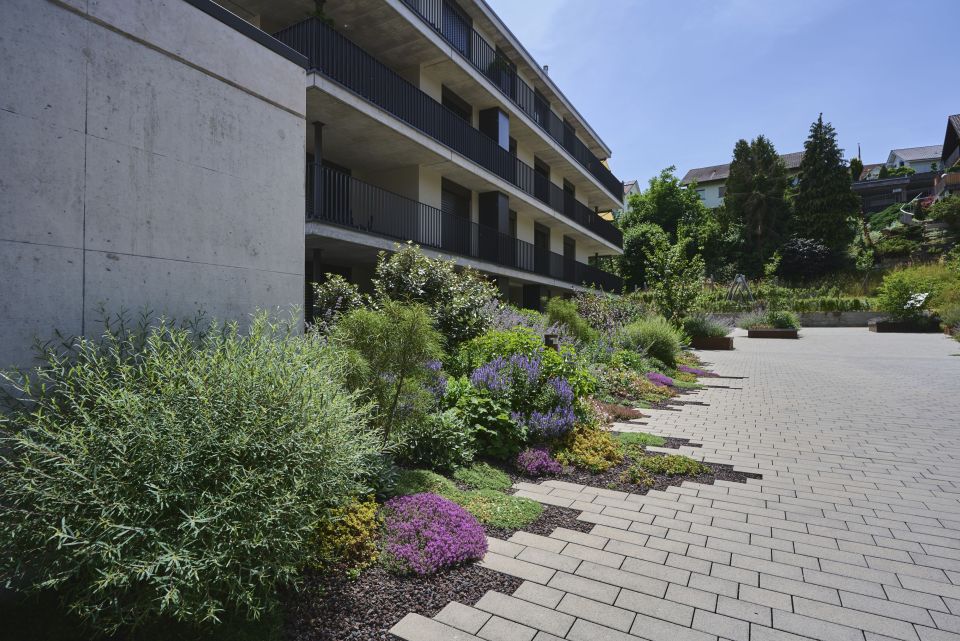 Vielfaeltige Gartenbepflanzung mit verschiedenfarbigen Pflanzen und Sträucher entlang eines gepflasterten Wegs Gartenbau Aargau Schoop Gartenbau