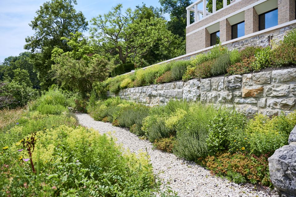 Gartenanlage in Hanglage mit bepflanzten Stützmauern, Gehweg, verschiedenen Pflanzen und Bäume im Hintergrund