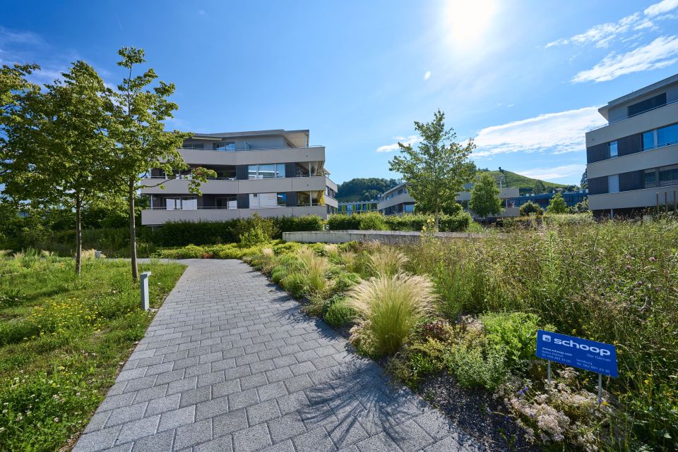 Blühende Gräser und Sträucher entlang eines Gehweges, in Hintergrund ein Mehrfamilienhaus und blauer Himmel