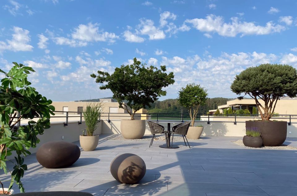 Moderne Dachterrasse mit grossen Pflanzkübeln, Sitzplatz und Flachdach in Aargau, Schweiz unter blauem Himmel