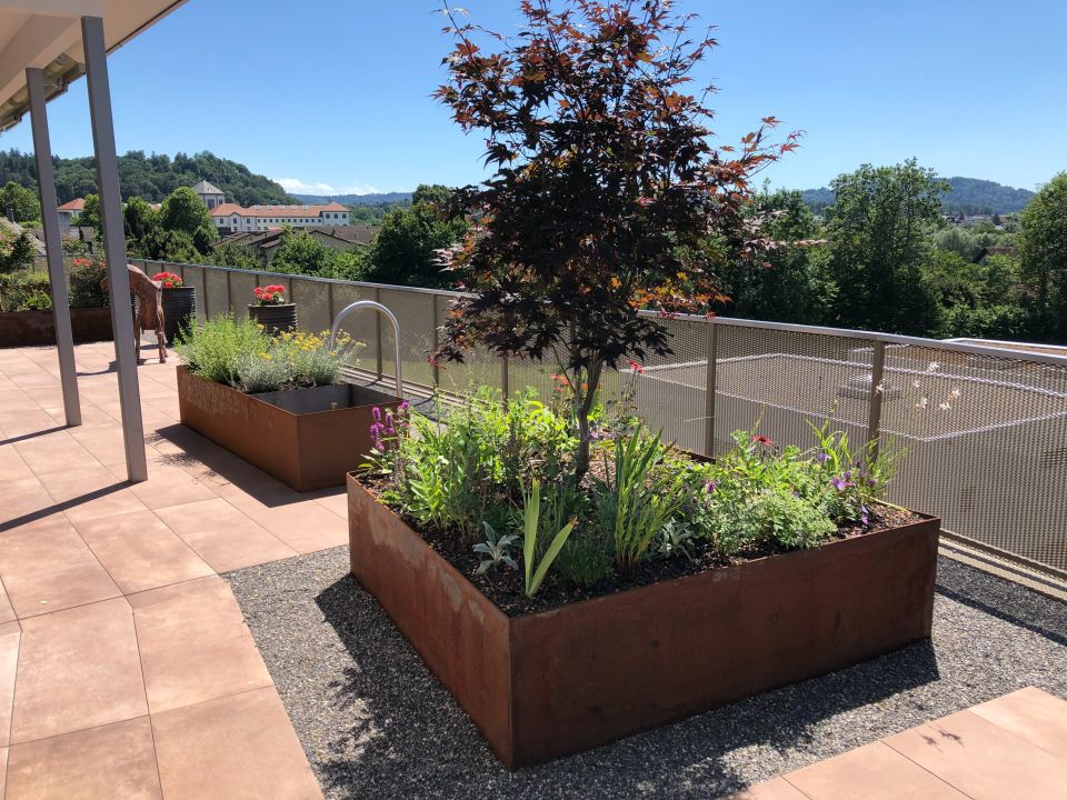 Moderne professionelle Bepflanzung mit Hochbeeten und Baum auf Terrasse, Gartenbau Aargau von Schoop Gartenbau