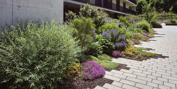 Vielfaeltige Gartenbepflanzung mit verschiedenfarbigen Pflanzen und Sträucher entlang eines gepflasterten Wegs Gartenbau Aargau Schoop Gartenbau