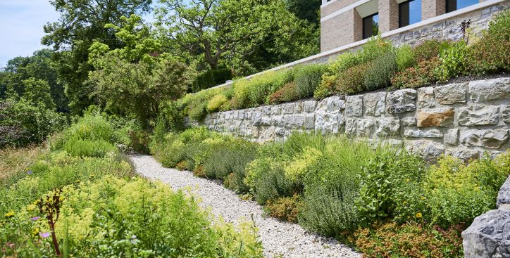 Gartenanlage in Hanglage mit bepflanzten Stützmauern, Gehweg, verschiedenen Pflanzen und Bäume im Hintergrund