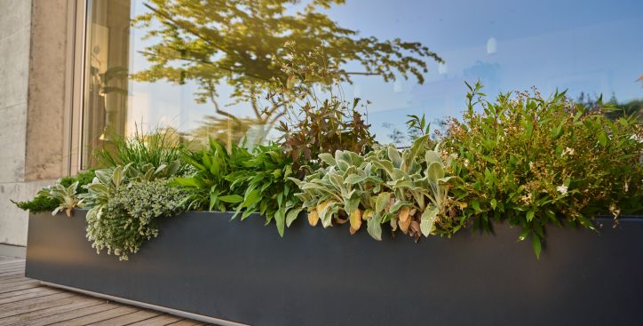 Saisonale Gartenpflege