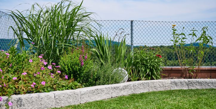 Gartenbeet mit verschiedenen Blumen und Gräsern, gepflegter Rasen und Maschendrahtzaun, Gartenbau Aargau Schoop Gartenbau