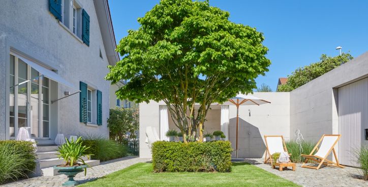 Baum mit verzweigtem Stamm, umgeben von Sträucher und Rasen, rundum Gehweg und 2 Liegestühle auf der rechten Seite