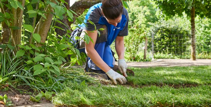 Neugestaltung & Sanierung