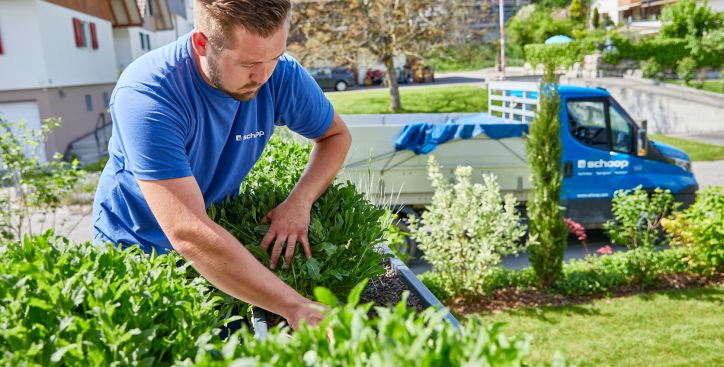 Gartenpflege & Unterhalt